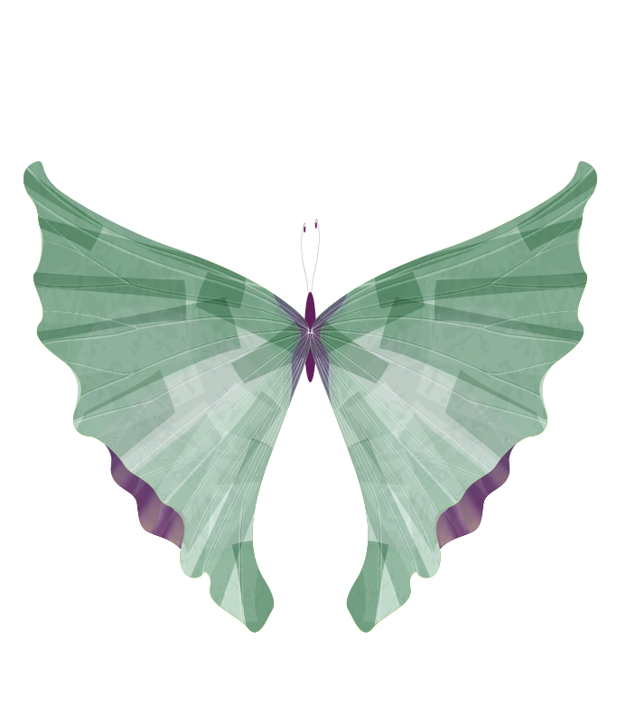 papillonslideviolet